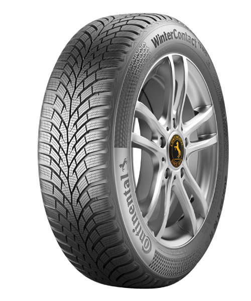 215/60R16 Conti Win TS 870 99H XL 